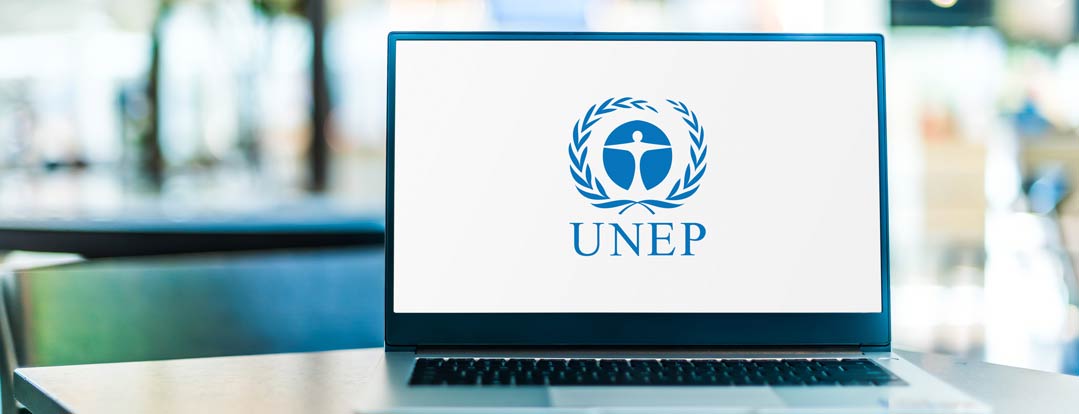 Aufgaben des UNEP