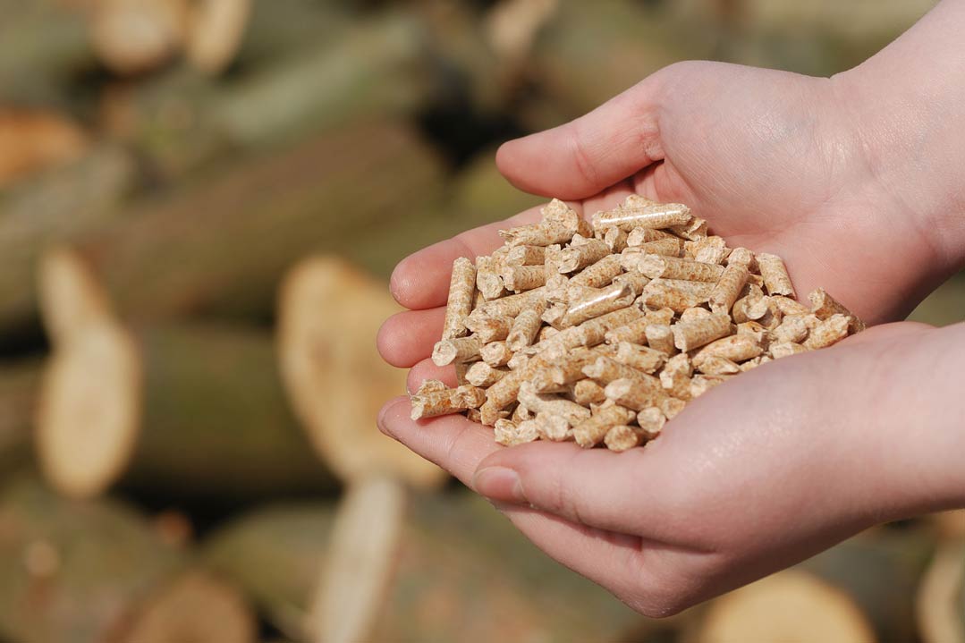 Bei Bioenergie besteht nicht das Problem der Verknappung der Rohstoffe