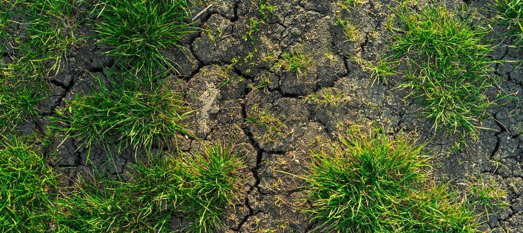 Böden im Klimawandel