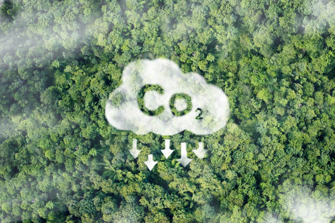 CO₂ lässt sich nach Erkenntnissen der Forschung gut speichern