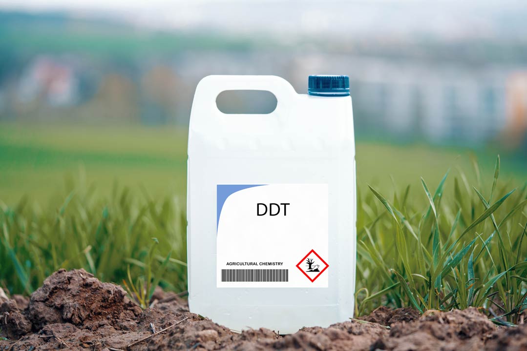 DDT Umweltchemikalie