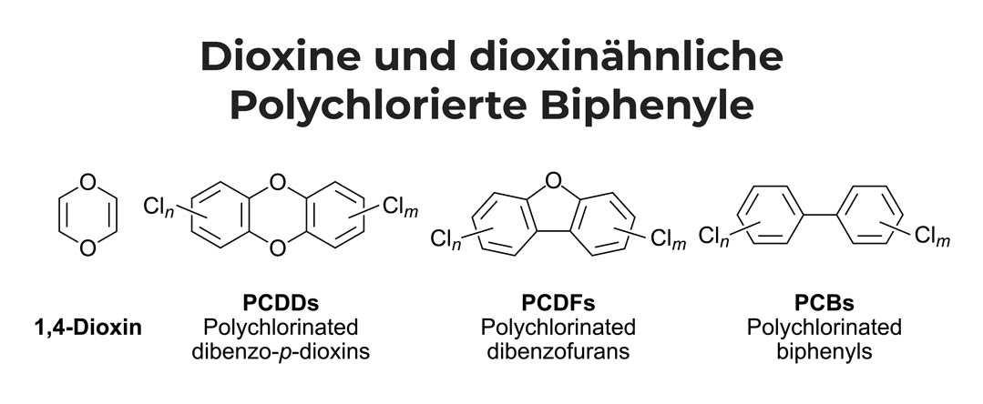 Dioxine und dioxinähnliche Polychlorierte Biphenyle