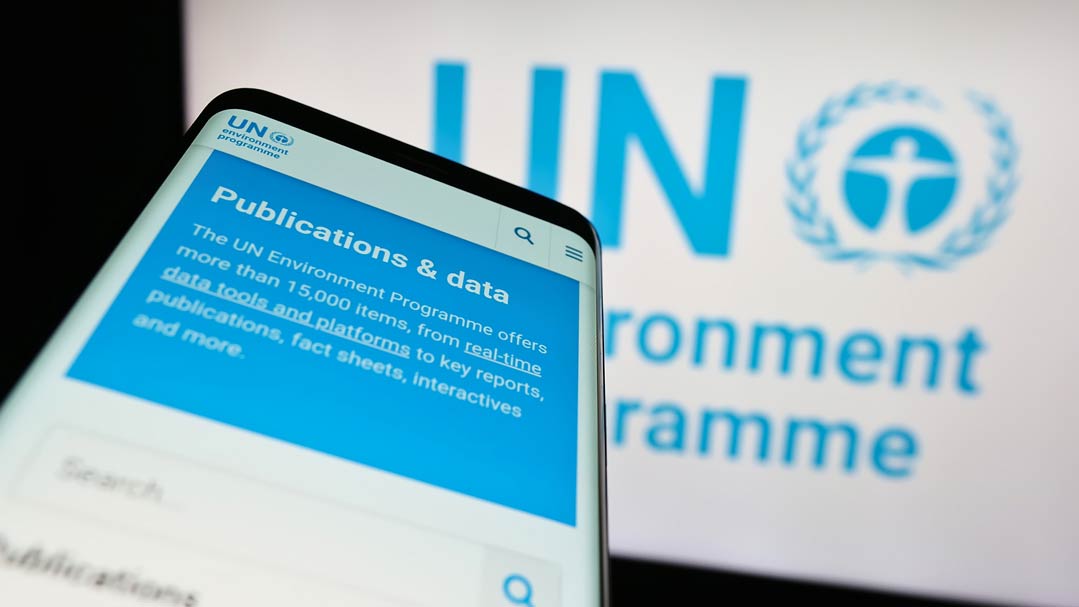 Errungenschaften des UNEP