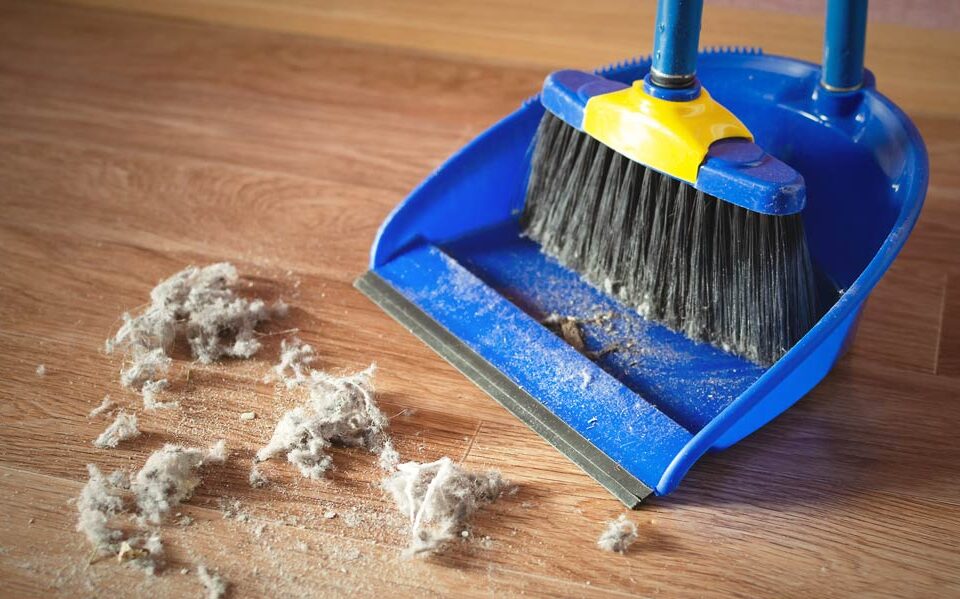 Hausstaub zum Teil mit Umweltschadstoffen belastet