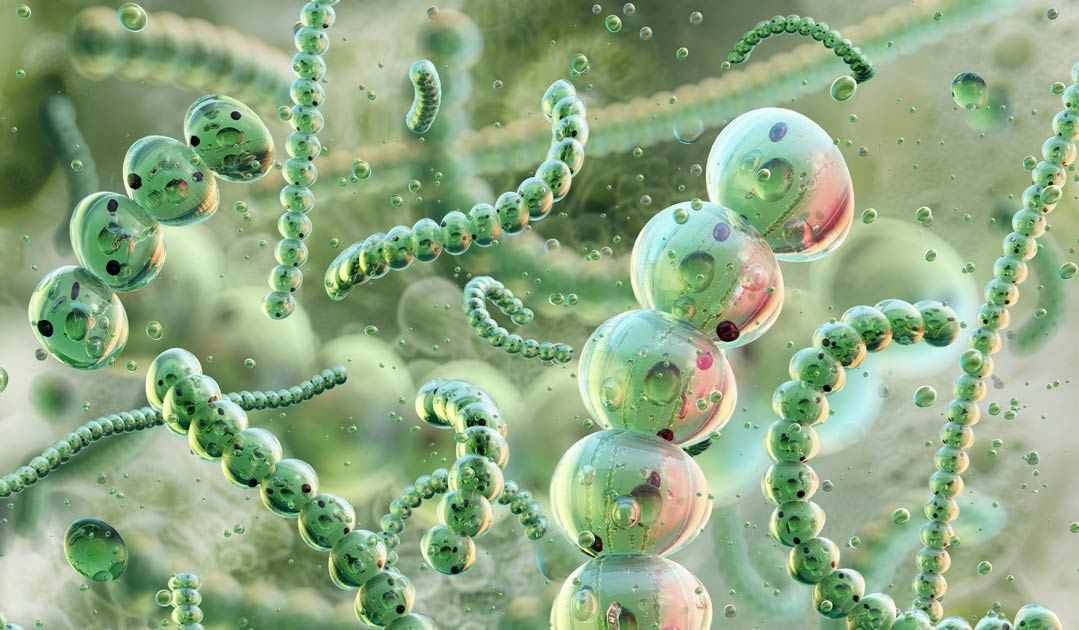 Hydrogel als Trägermaterial