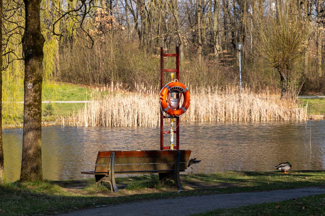 Hygienische Beeinträchtigung des Teichwassers