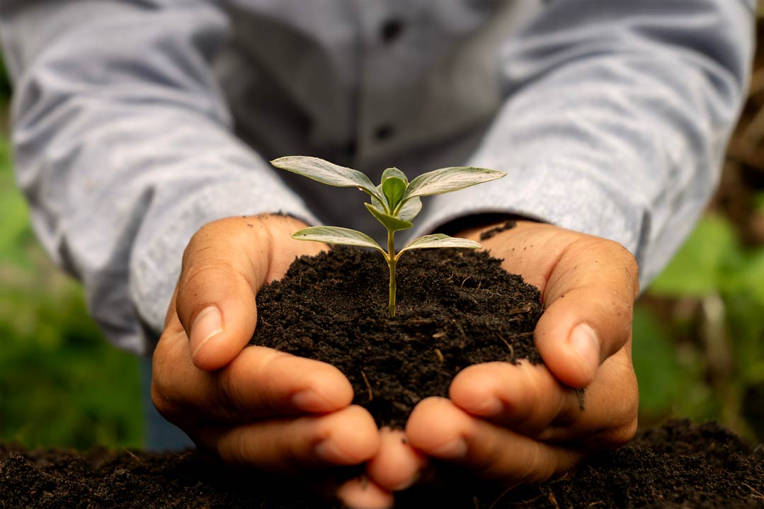 Ist Klimaschutz mit Wohlstand vereinbar