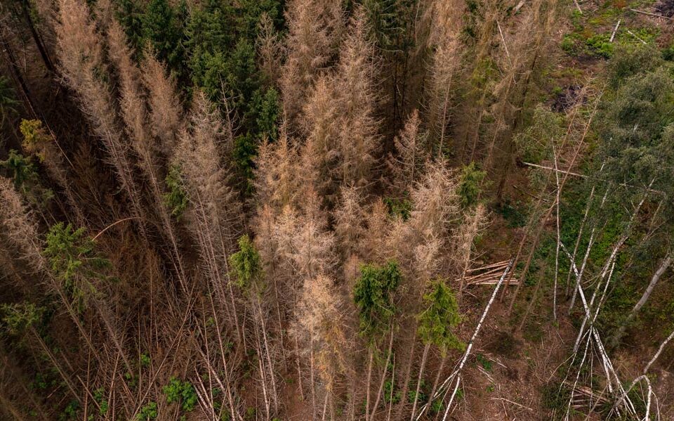 Klimaauswirkungen in Deutschland