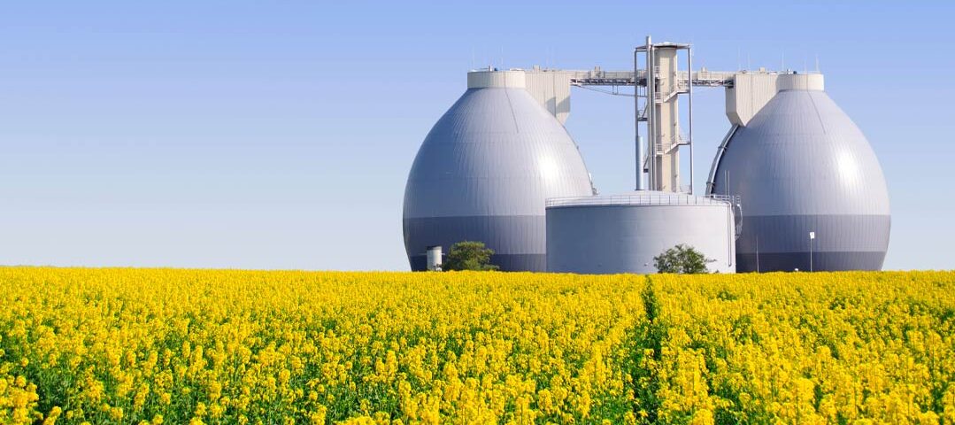 Kriterien für eine nachhaltige Nutzung von Bioenergie im globalen Maßstab