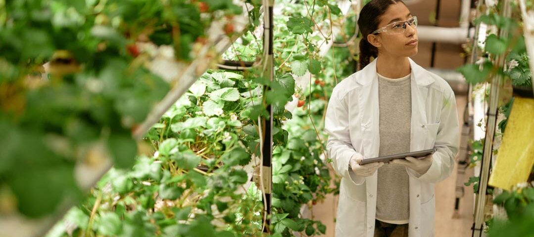 Neue Arbeitsplätze durch Klimaschutz