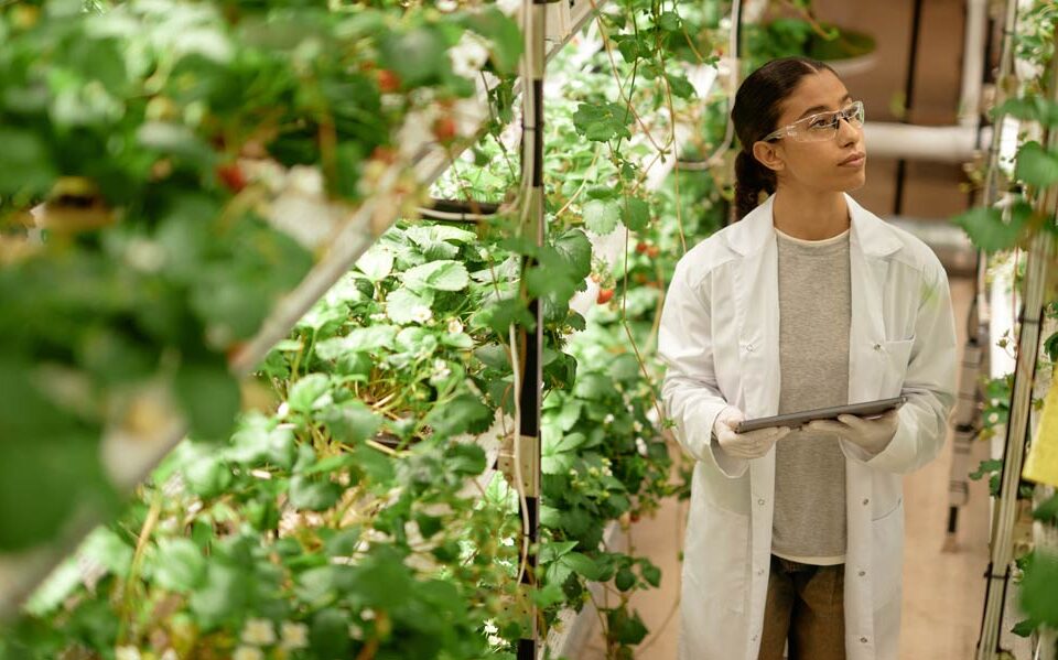 Neue Arbeitsplätze durch Klimaschutz