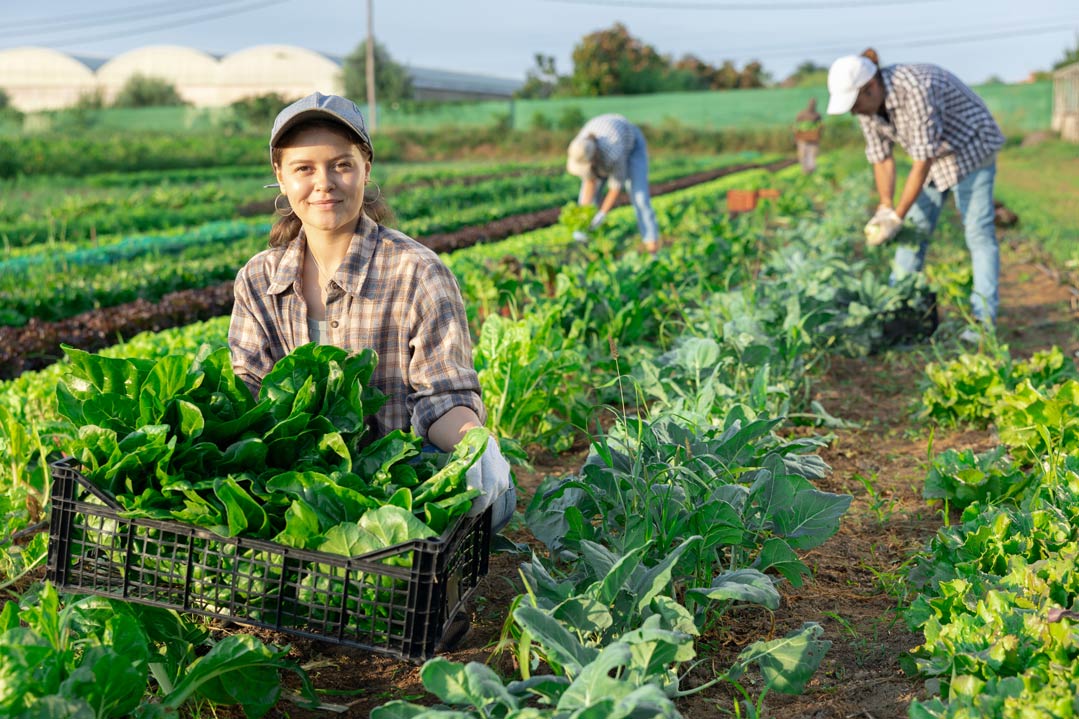 Ökologische Landwirtschaft