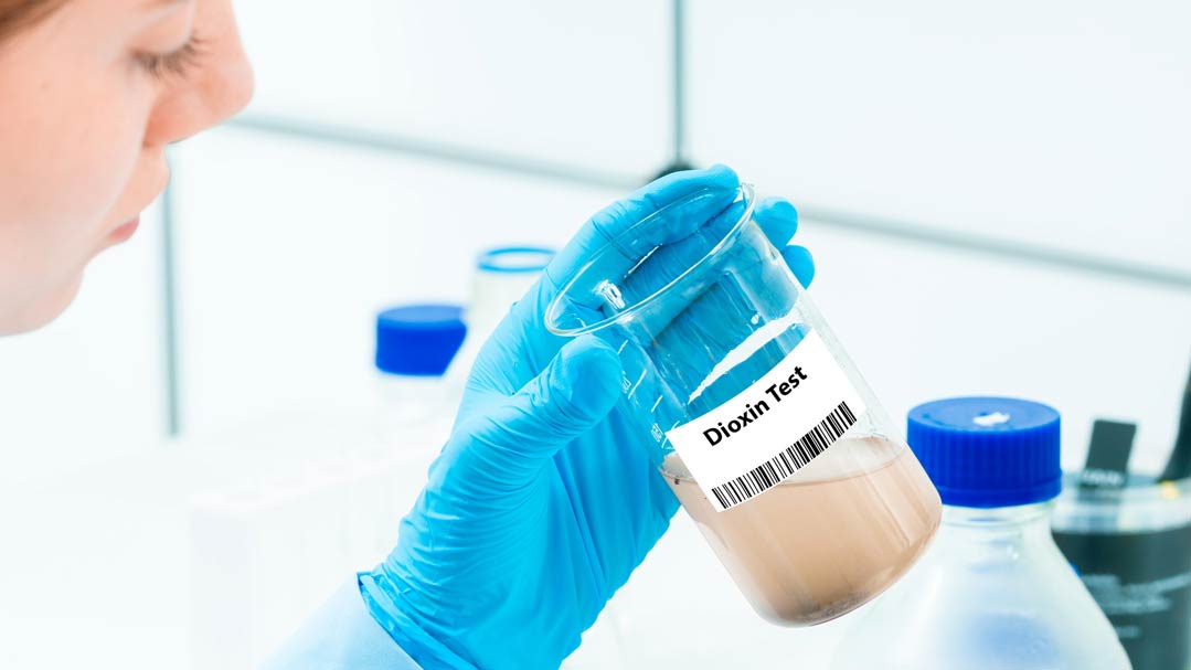 Rechtlicher Rahmen zu Dioxinen und PCB innerhalb der EU