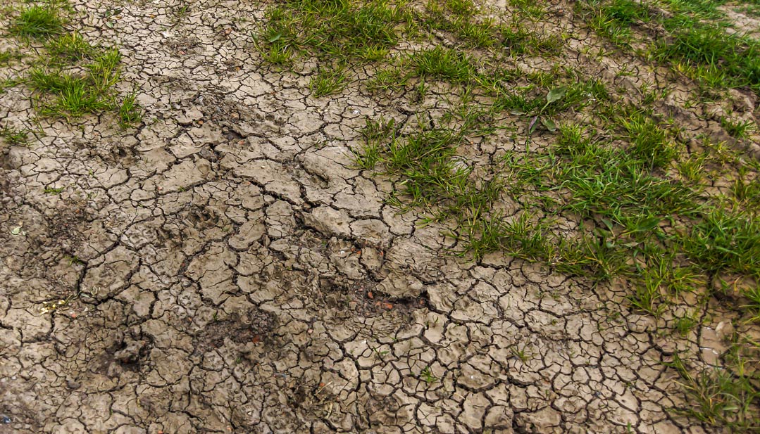 Ressource Wasser wird immer knapper