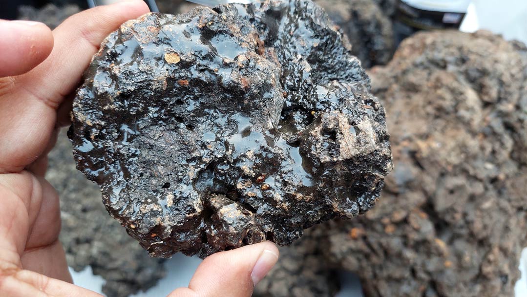 Shilajit Herkunft und Gewinnung