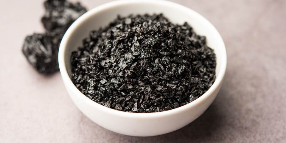 Shilajit im Check