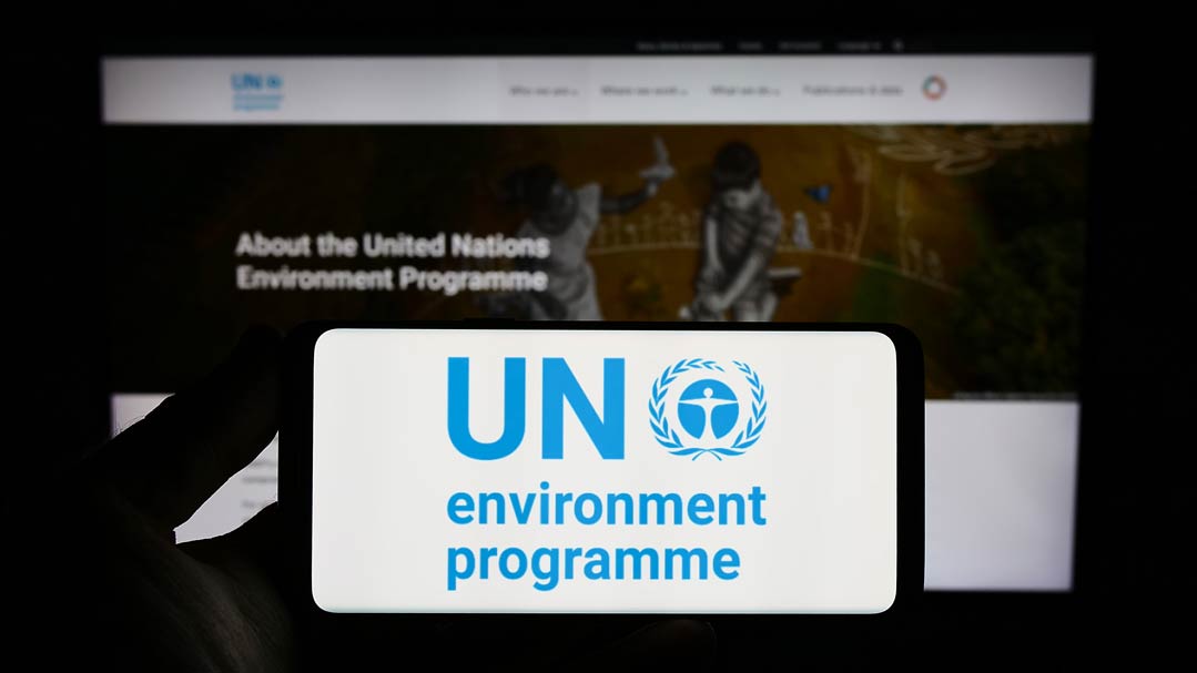 Was ist das Umweltprogramm der Vereinten Nationen
