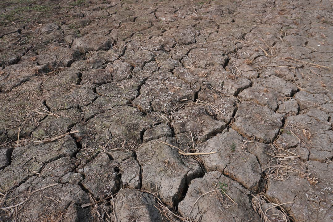 Wassermangel im Boden