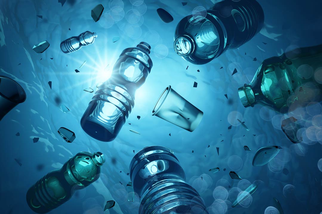 Wirkung von Bisphenol A auf die Umwelt